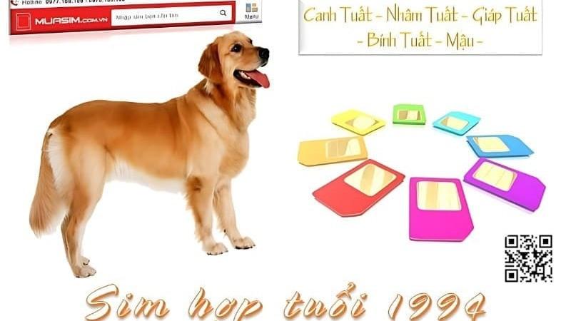 Phong thủy nhà ở cho tuổi Giáp Tuất 1994, xem hướng hợp tuổi giáp tuất để hút tài lộc